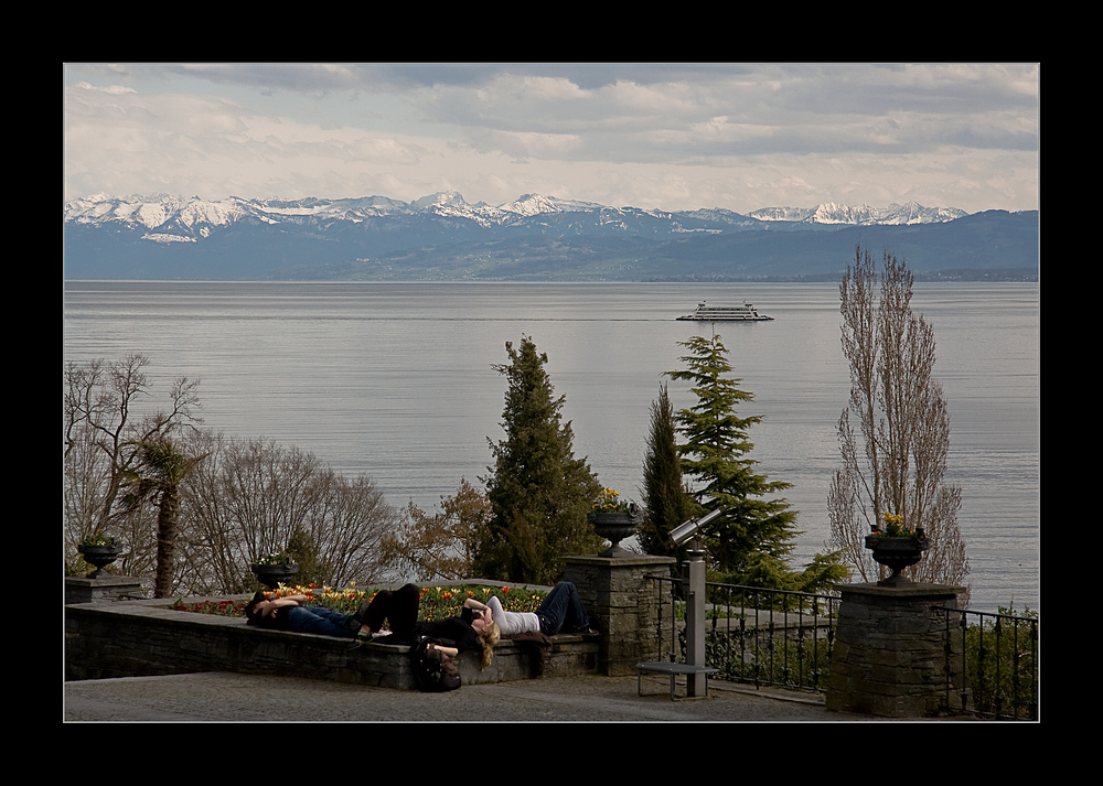 heute war Mainau für Genießer