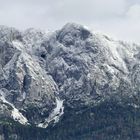 Heute werden  37° C  für den Osten Österreichs prognostiziert