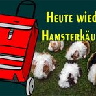 Heute wieder Hamsterkäufe  ?