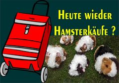 Heute wieder Hamsterkäufe  ?