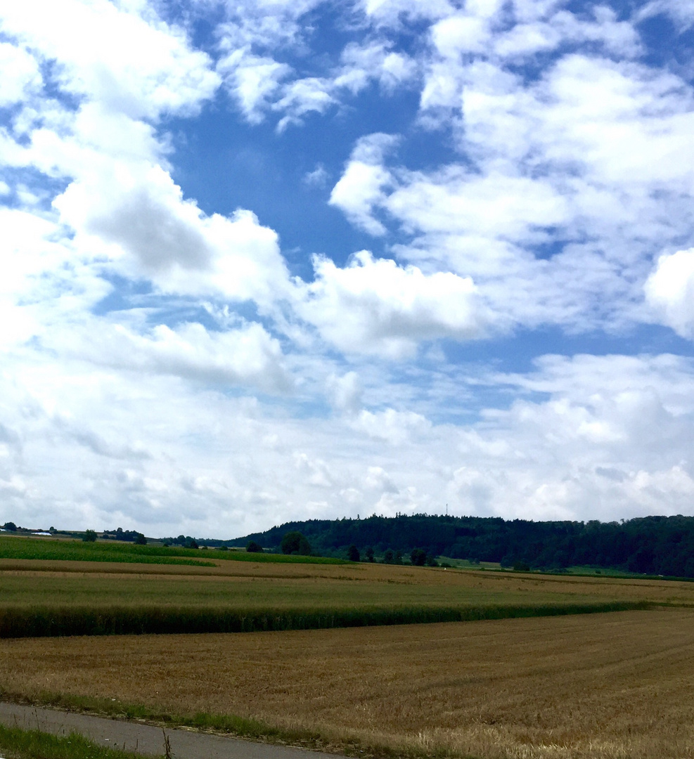 Heute wieder sonnig auf der Alb...