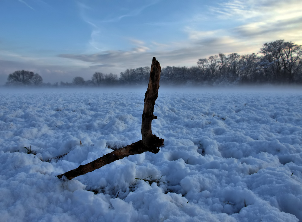 Heute: Winter in Köln,,,