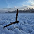 Heute: Winter in Köln,,,