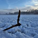 Heute: Winter in Köln,,,