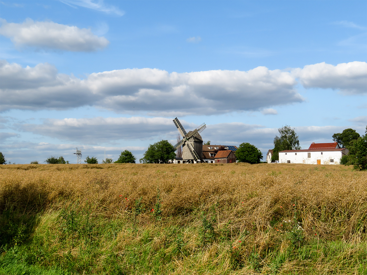 Heute wollen wir uns diese Windmühle mal aus der Nähe ansehen...