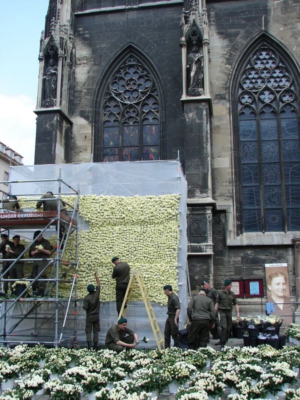 Heute wurde am stephansdom ein blumenmeer von weisen rosen aufgestellt zur erinnerung