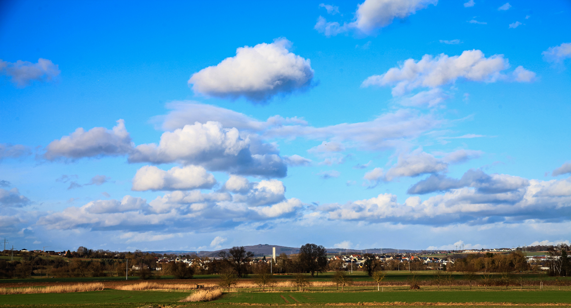 Heute zum Blue Monday...