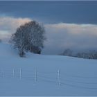 Heute zur Blauen Stunde