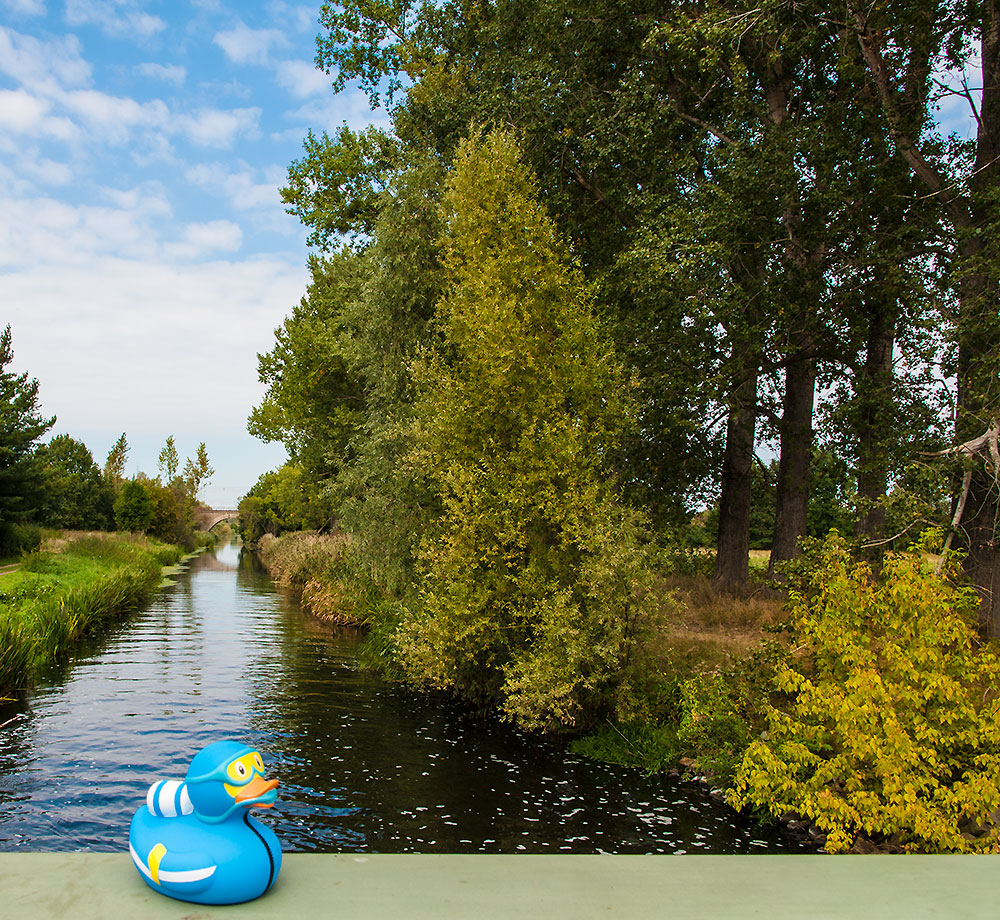 Heute zweites großes Benefizkonzert an der Höcklager Schleuse