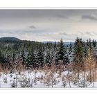 heute zwischen oberhof und zella-mehlis ...