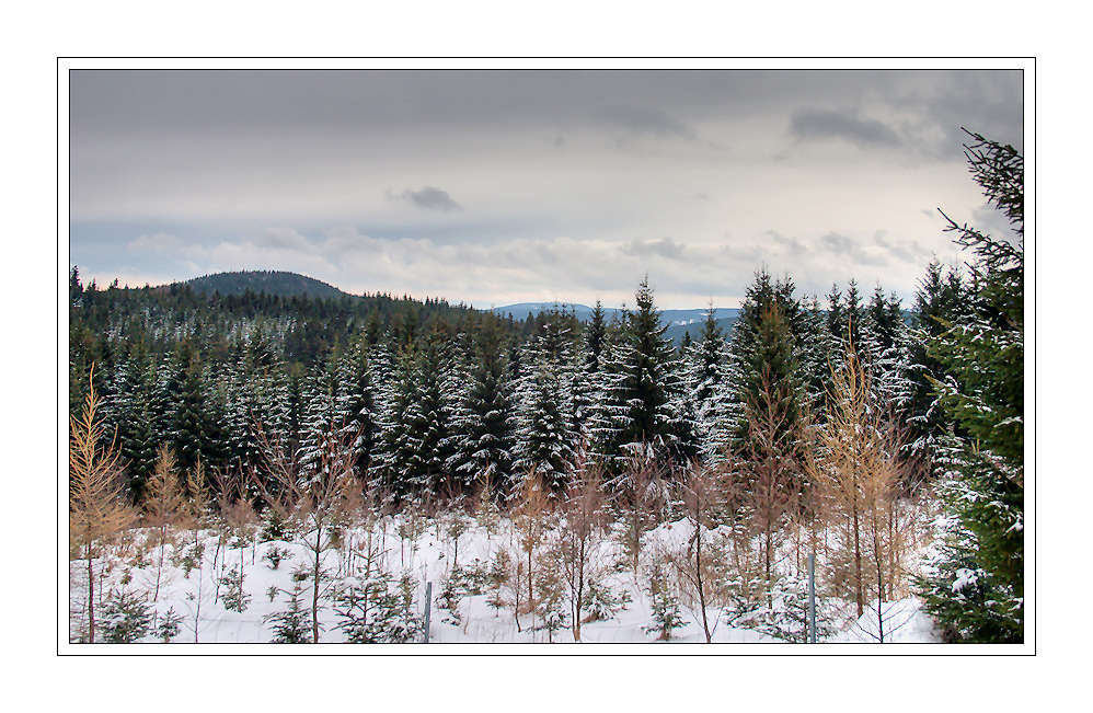 heute zwischen oberhof und zella-mehlis ...