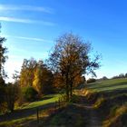 Heute - zwischen Sonne und Frost