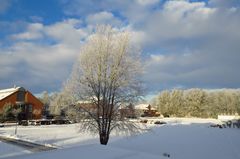 Heute.........Blick von meinem Balkon.....