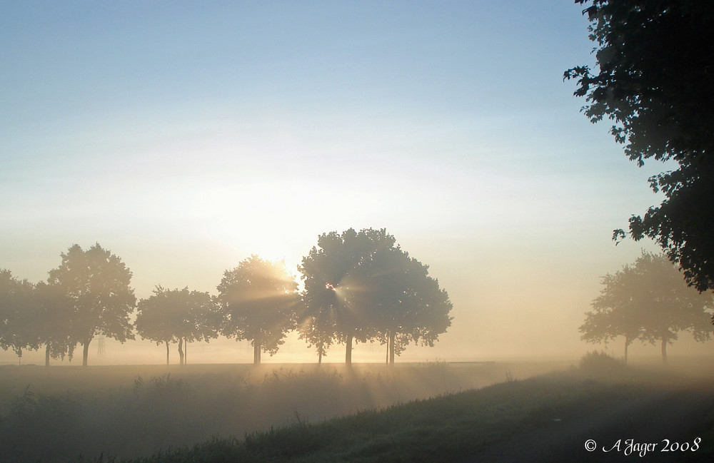 Heutemorgen....Nebel