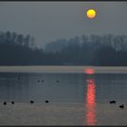 Heute...Sonne ohne Schein !