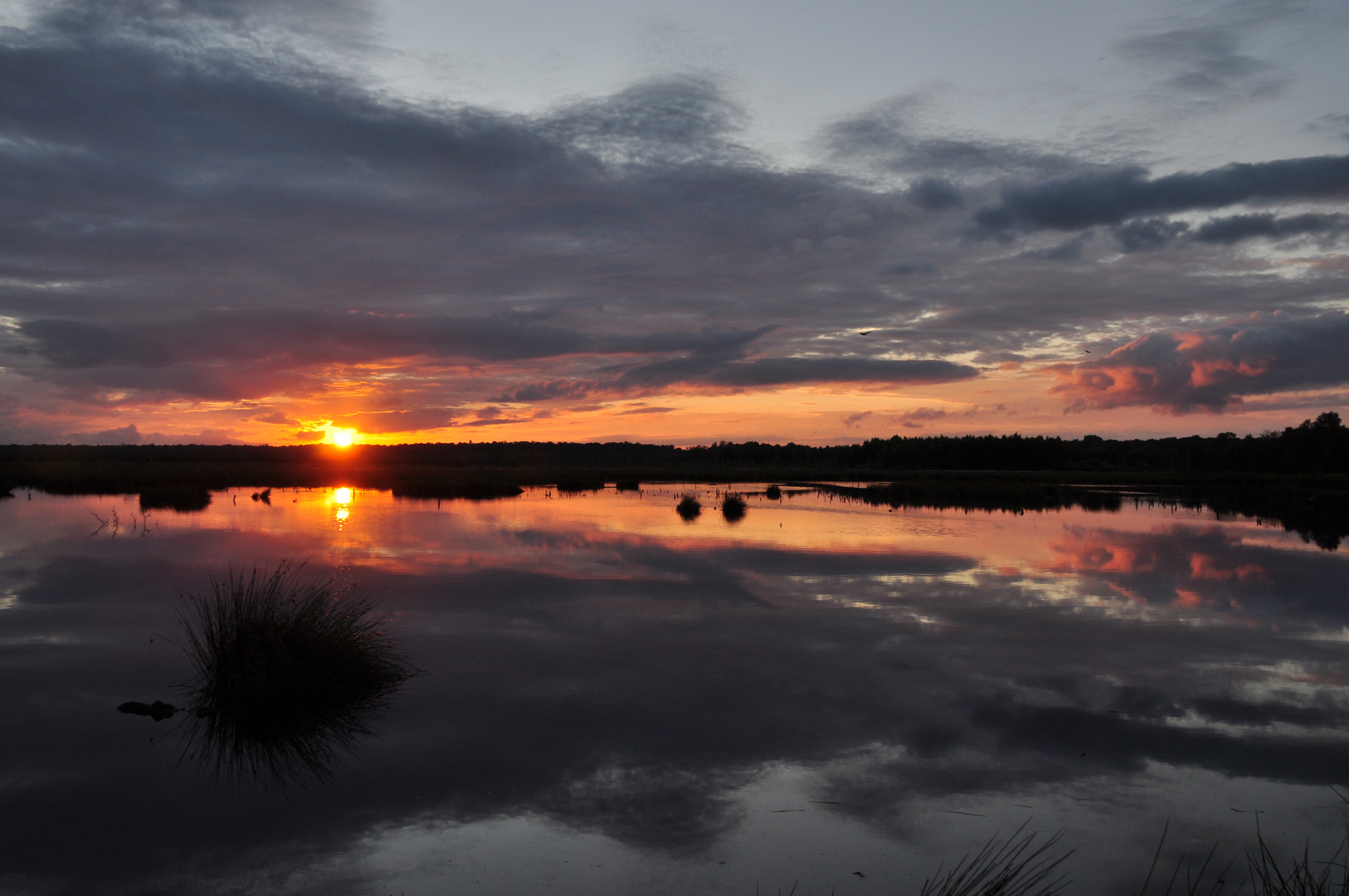 Heutige Abendstimmung im Himmelmoor