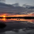 Heutige Abendstimmung im Himmelmoor