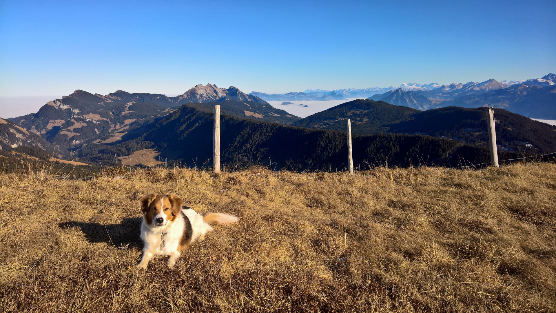 Heutige Bergwanderung zum Rickhubel 1943 m.ü.M. und dann zum Fürstein 2040 m.ü.M.