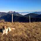 Heutige Bergwanderung zum Rickhubel 1943 m.ü.M. und dann zum Fürstein 2040 m.ü.M.