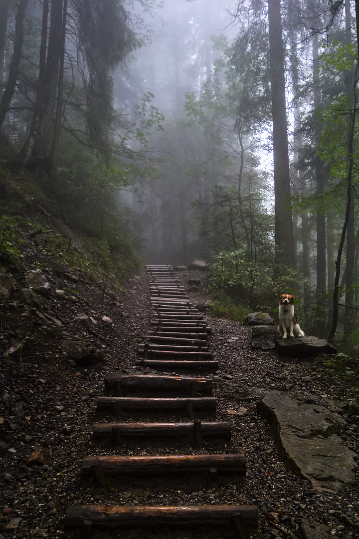 Heutige Herbstwanderung / 2