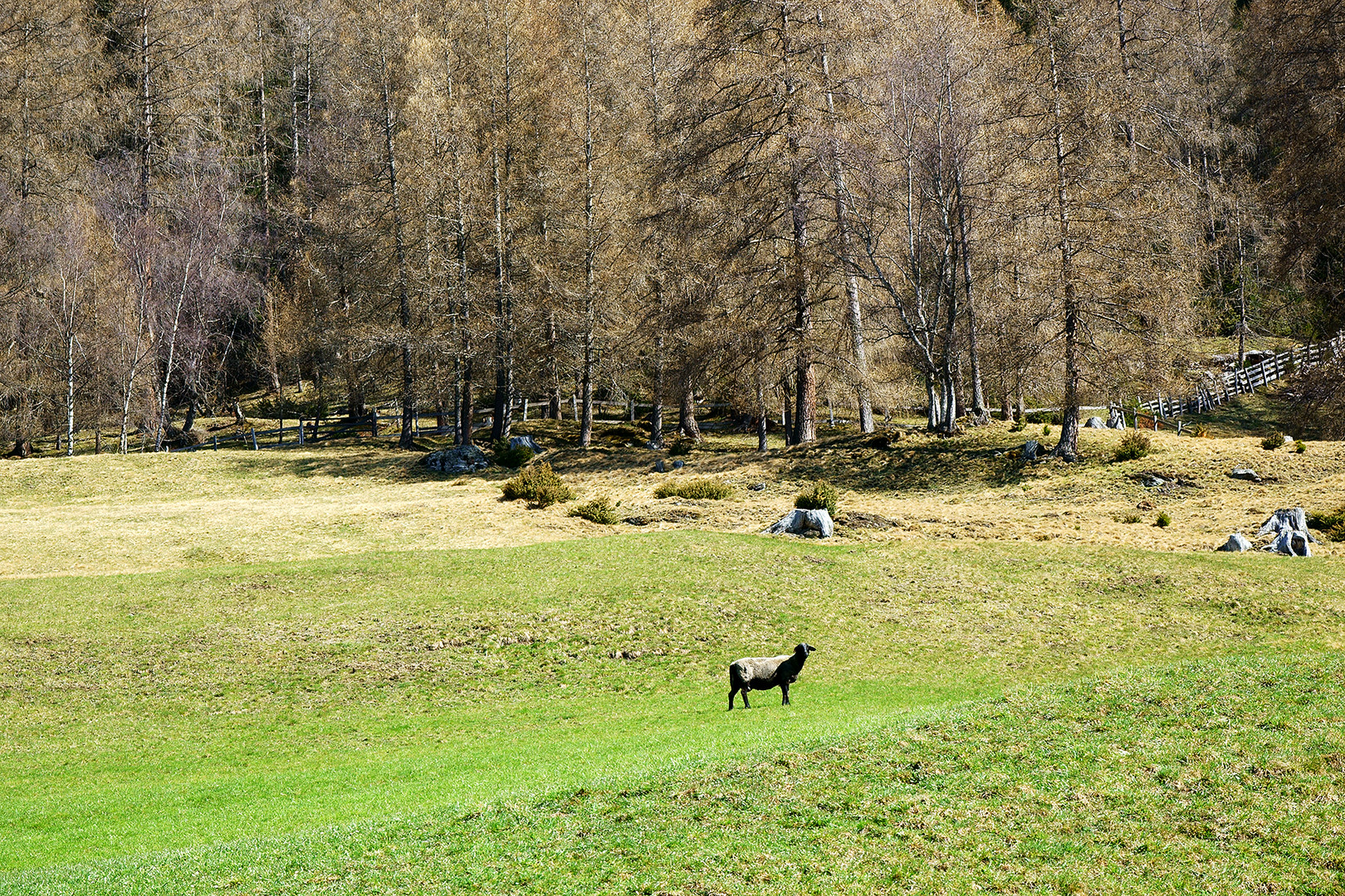 heutige kurze Wanderung ins Arztal