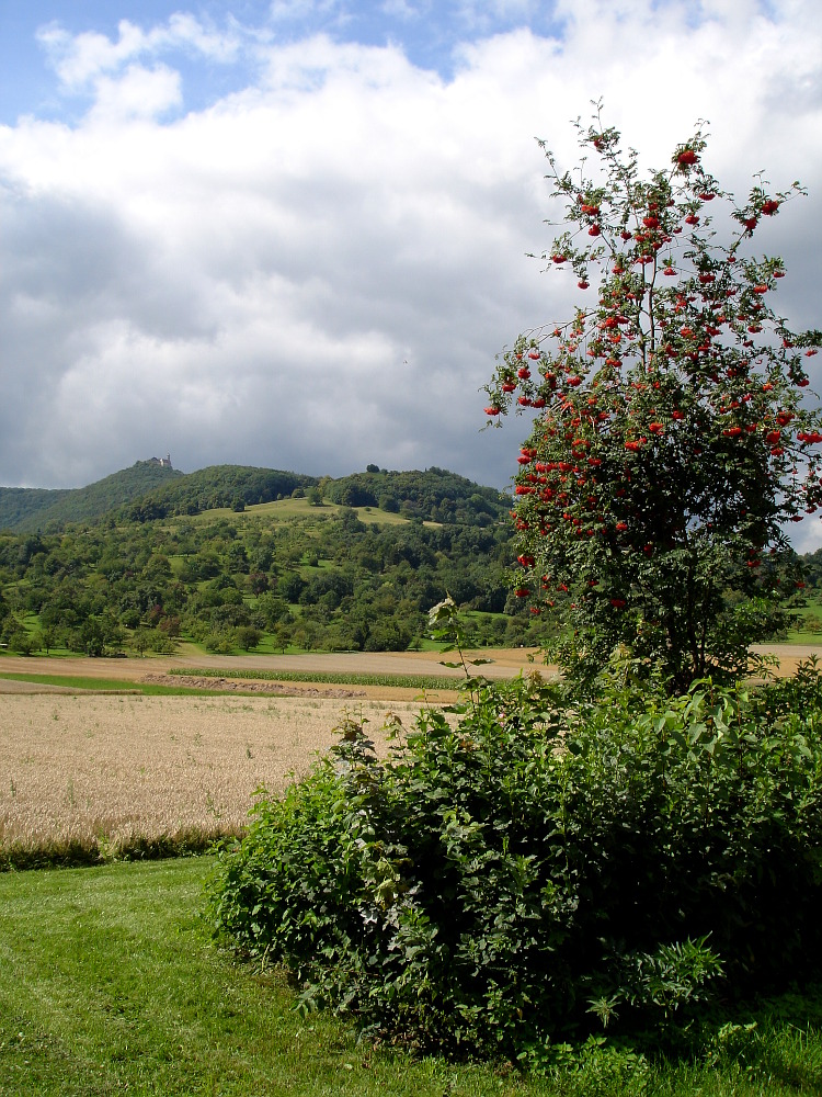 heutiger Blick zur Burg Teck