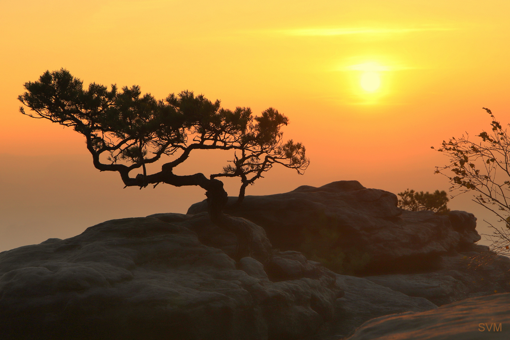 Heutiger Sonnenaufgang auf dem Lilienstein 