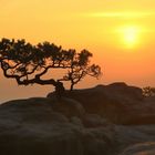 Heutiger Sonnenaufgang auf dem Lilienstein 