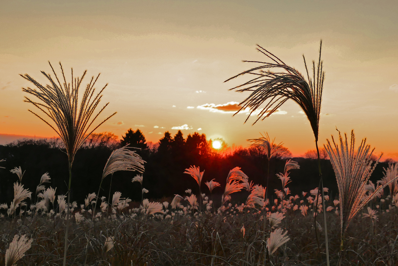 Heutiger Sonnenuntergang (2)