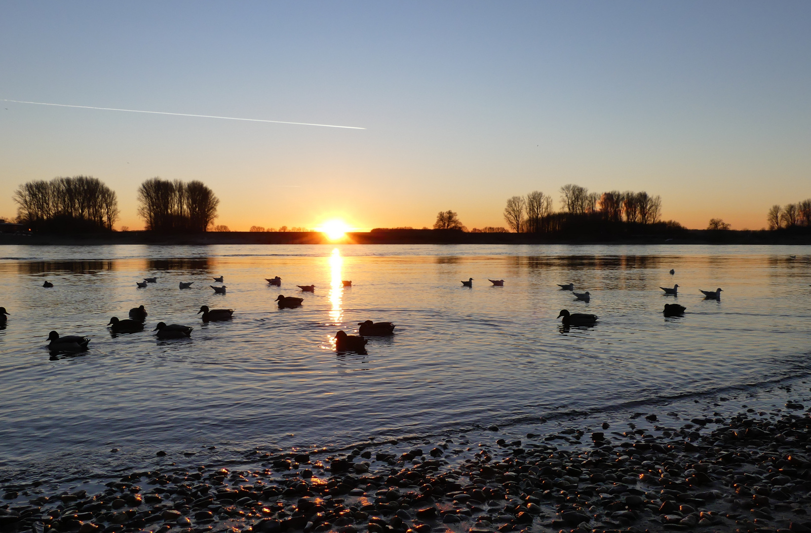 Heutiger Sonnenuntergang am Rheinufer ...