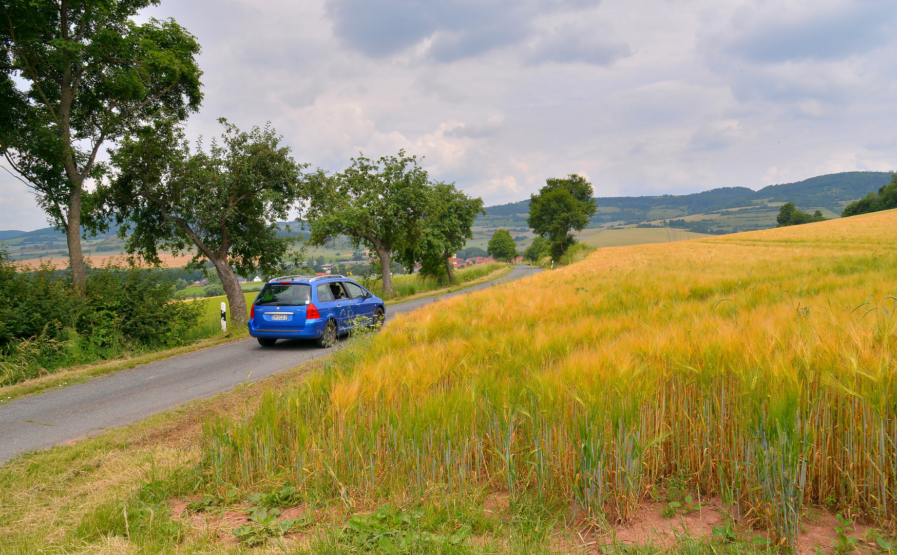 heutiger Spaziergang, 4 (paseo en el día de hoy, 4)