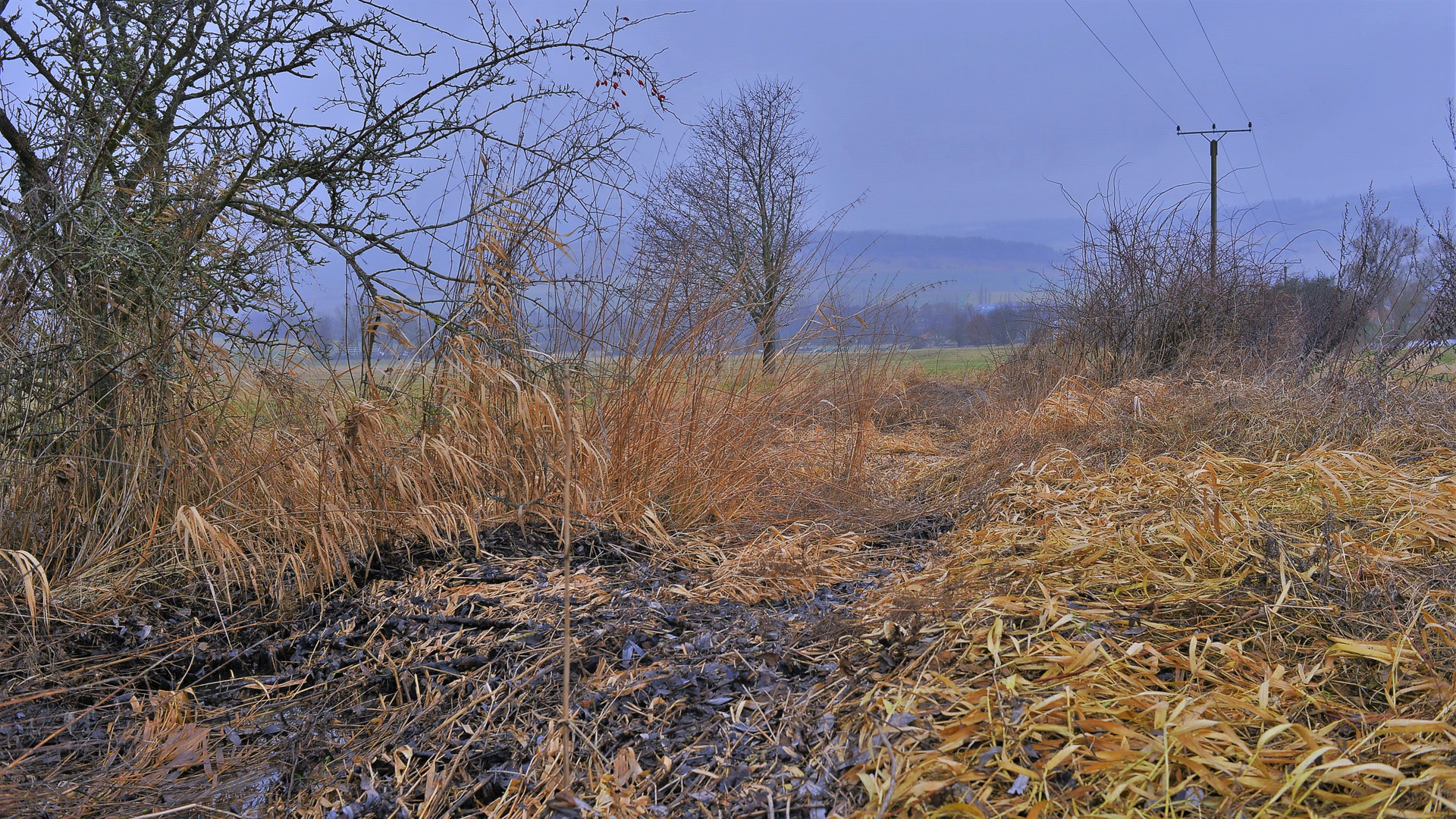 heutiger Spaziergang