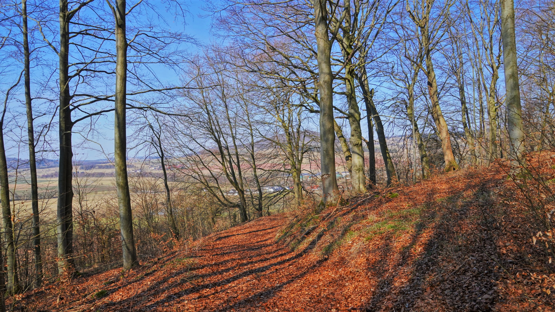 heutiger Spaziergang am Hutsberg