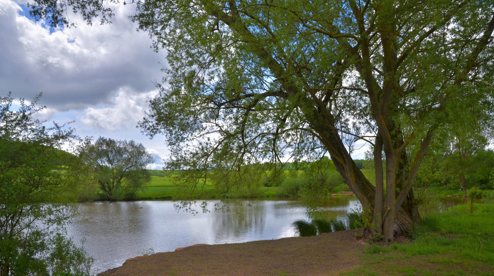 heutiger Spaziergang, am See