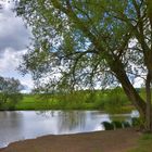 heutiger Spaziergang, am See