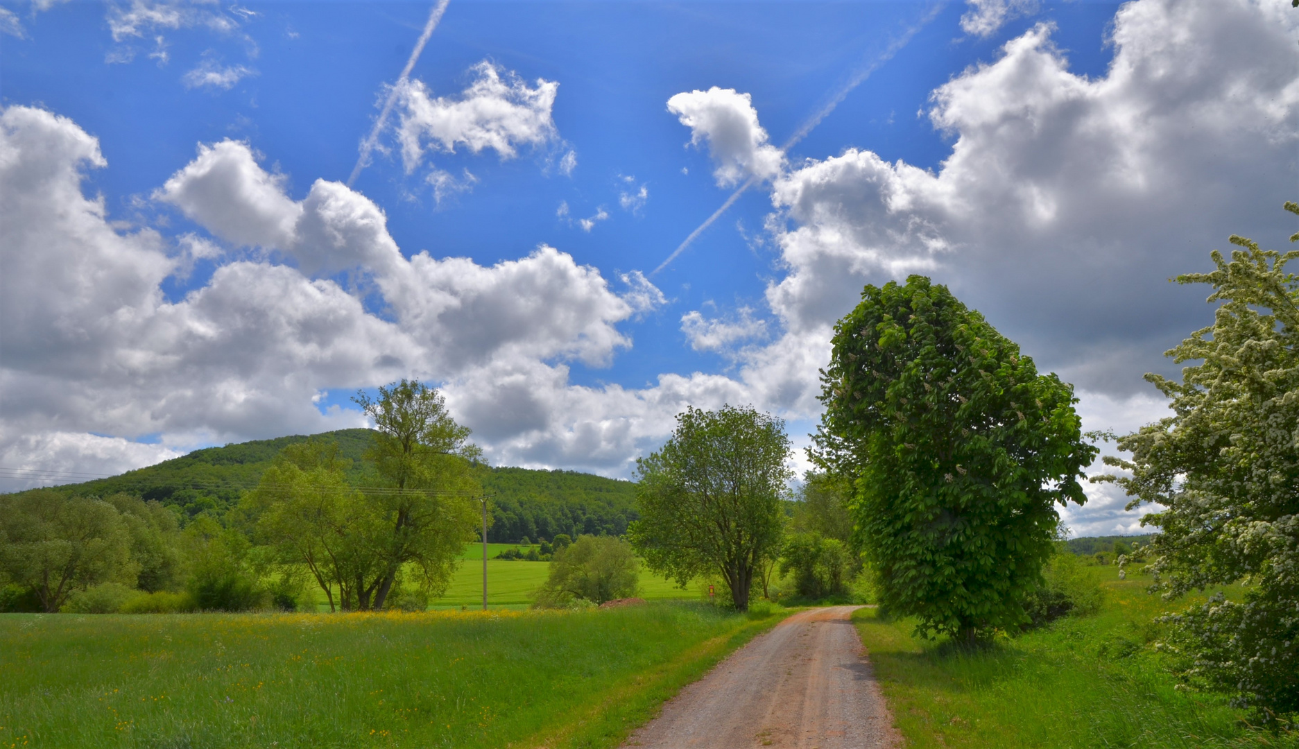 heutiger Spaziergang, der Weg zum See