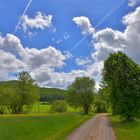 heutiger Spaziergang, der Weg zum See