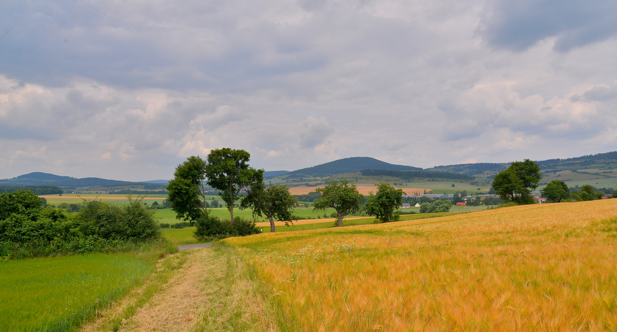 heutiger Spaziergang (paseo en el día de hoy)