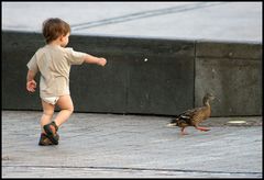 heutzutage bekommen selbst die enten alles nachgeworfen...