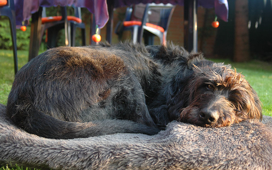 Heutzutage nennt man das 'chillen'