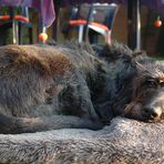 Heutzutage nennt man das 'chillen'