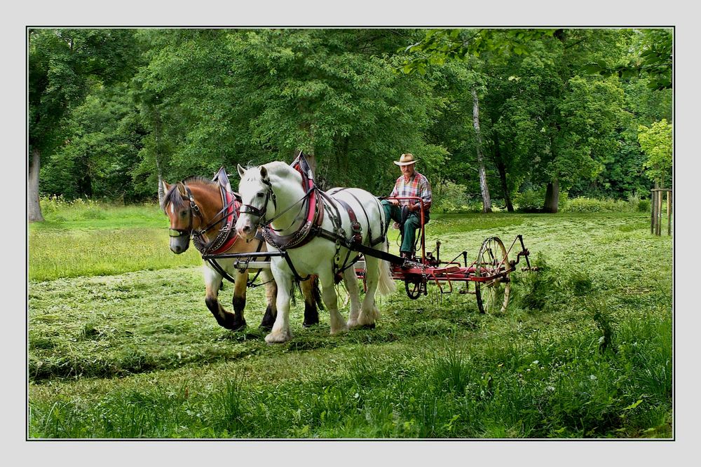 Heuwenden - auf traditionelle Art