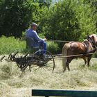 Heuwenden in der Börde im Jahre 2011 !!!