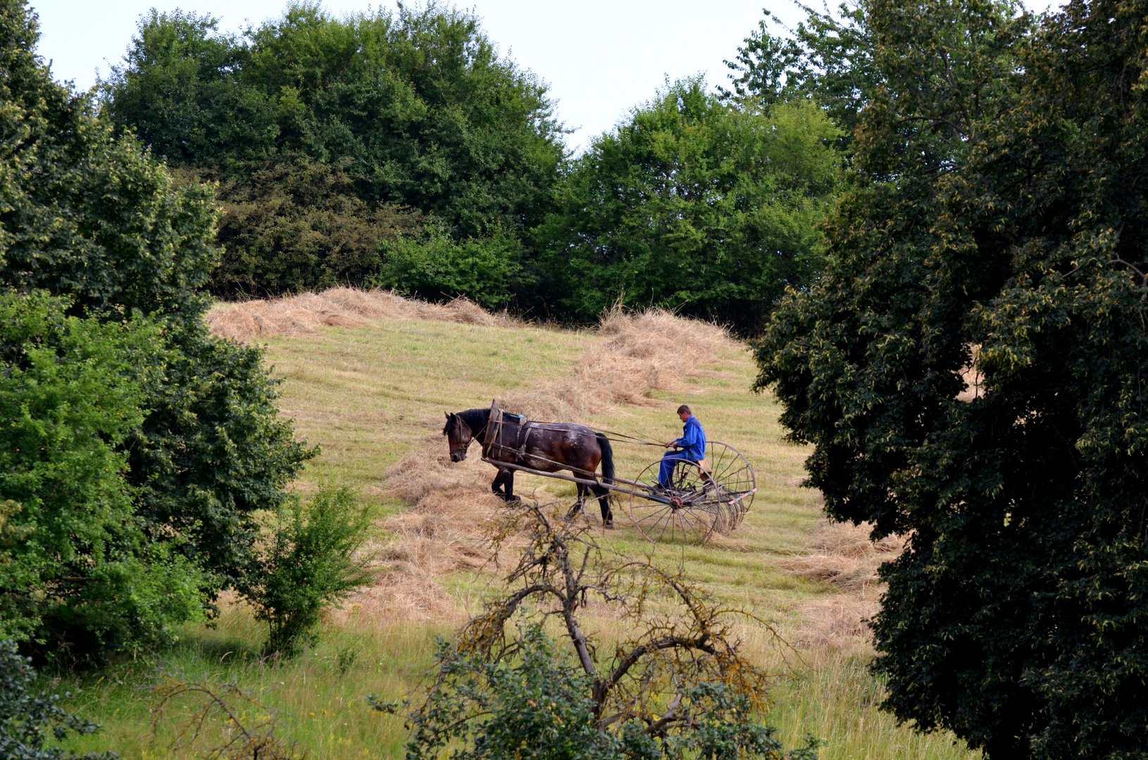 Heuwenden, wie früher 