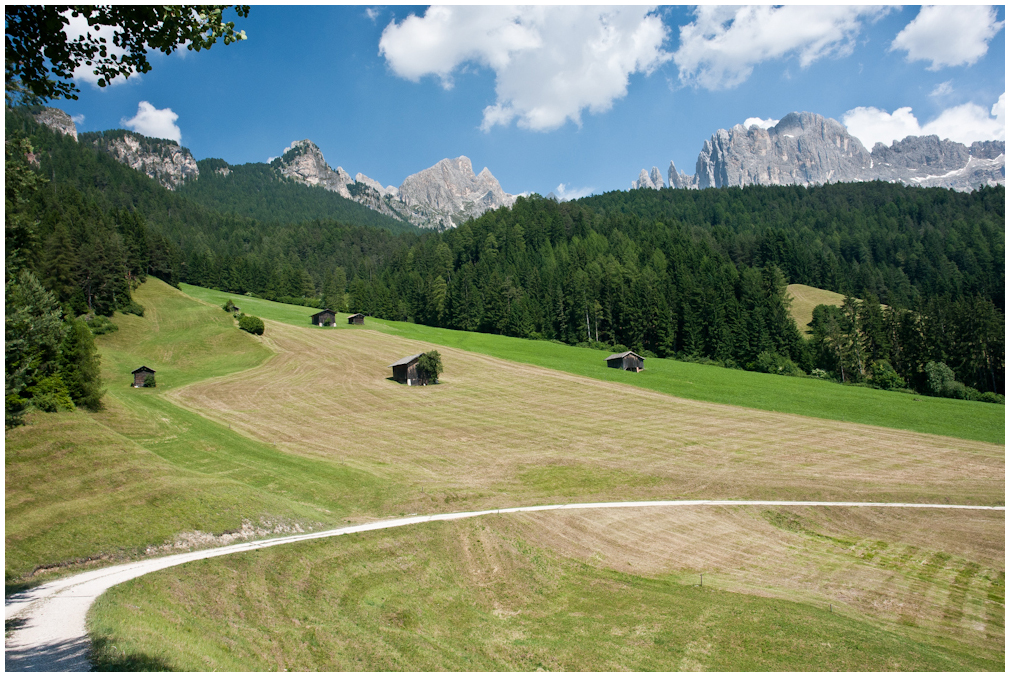 Heuwiese -Südtirol-