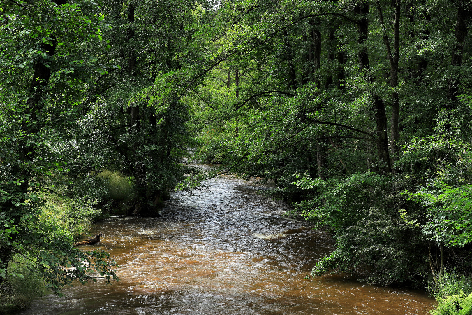 Hevebach im Naturpark Arnsberger Wald nach starken Regenfällen 