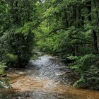 Hevebach im Naturpark Arnsberger Wald nach starken Regenfällen 