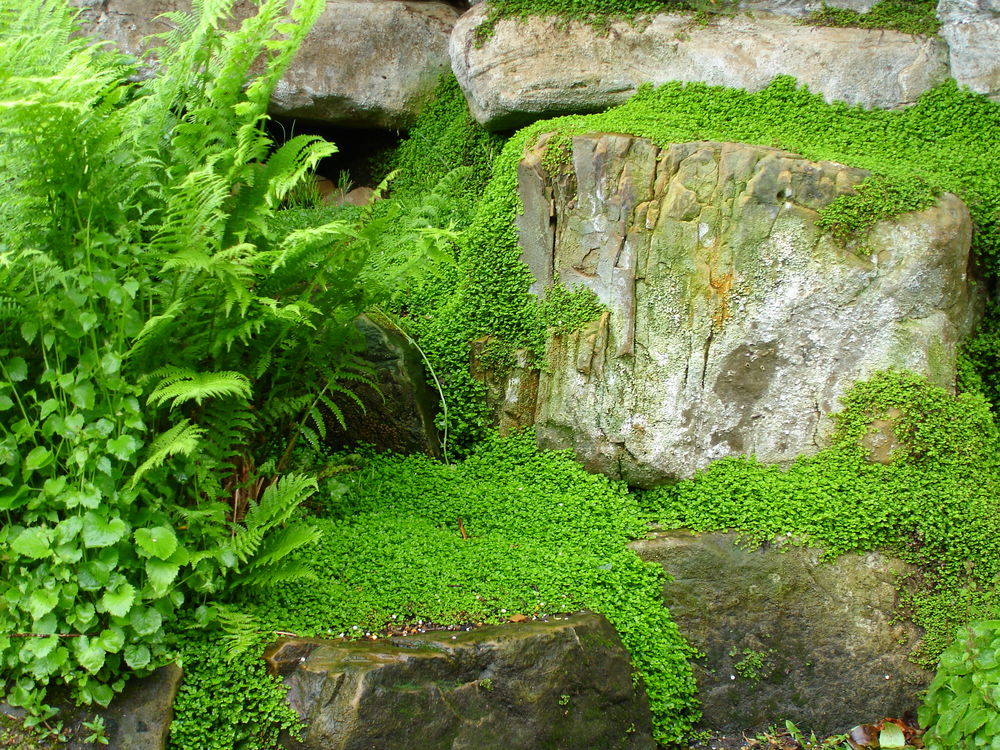 Hever Castle - Garden