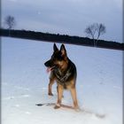 Hexe von der Königin im Winter