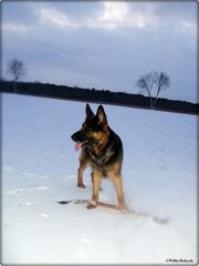 Hexe von der Königin im Winter